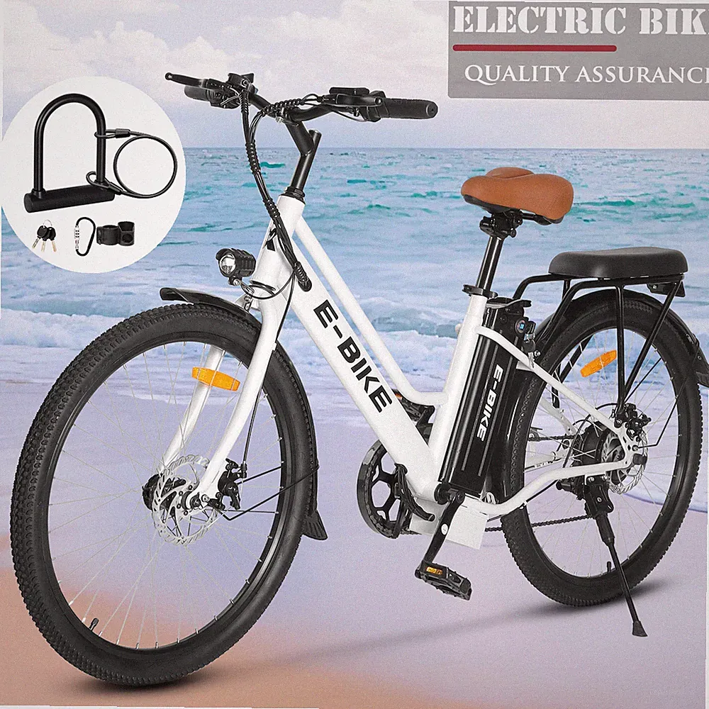 Lock City Bike